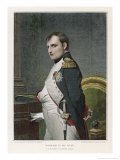 Napoleon Bonaparte Romantic Art